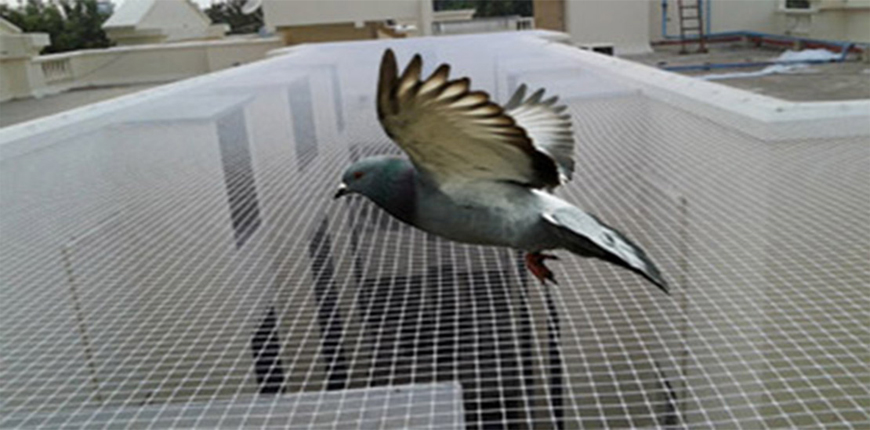 Anti bird Nets in Bhugaon