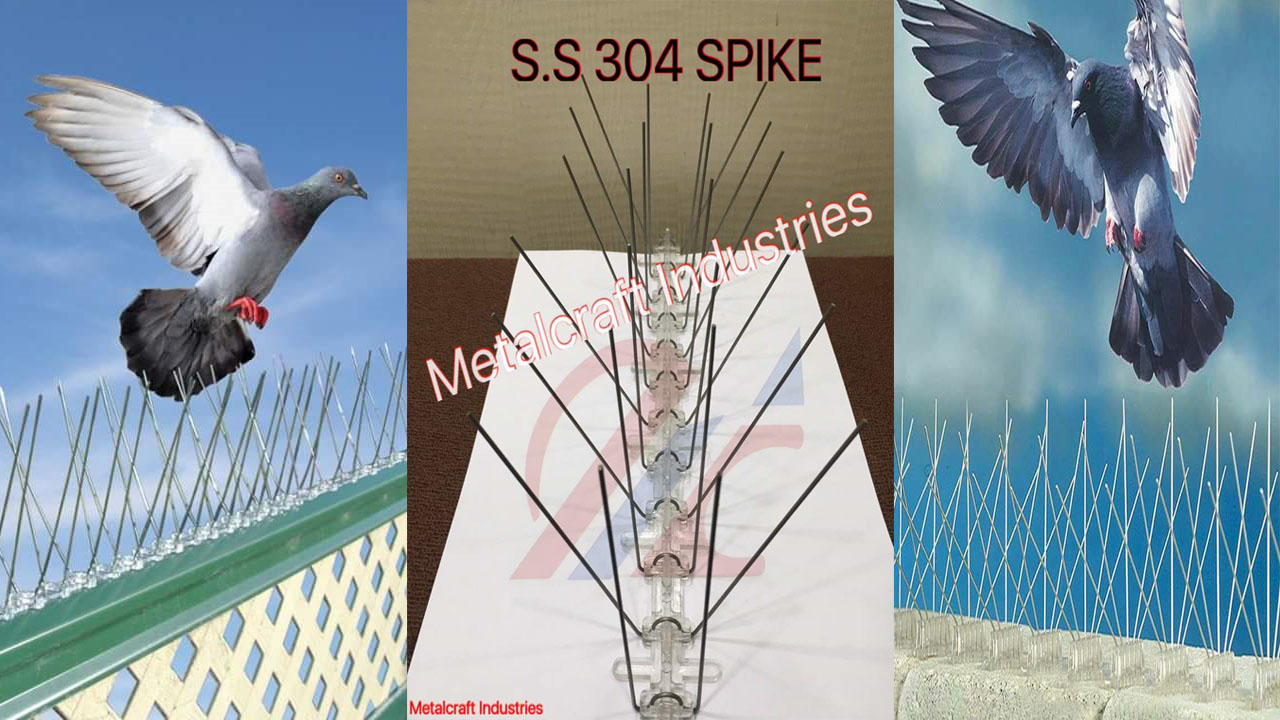 Bird Spikes in Pathare Wasti