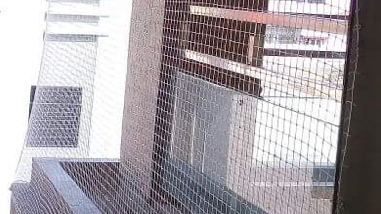 Glass Safety Nets Price in Pune